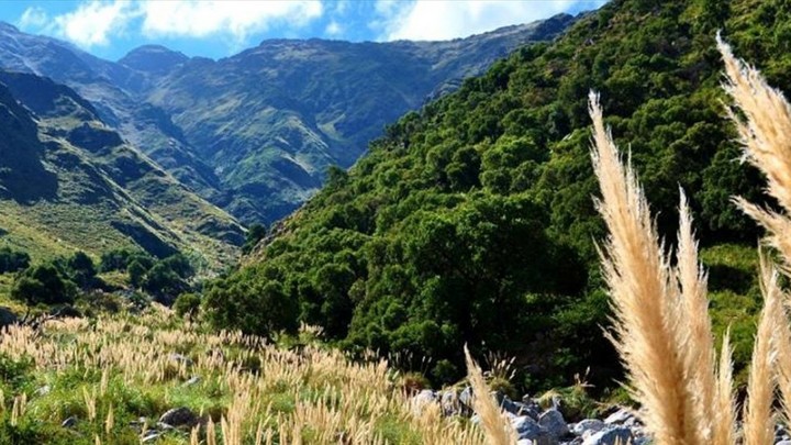 Merlo, San Luis Merlo, San Luis