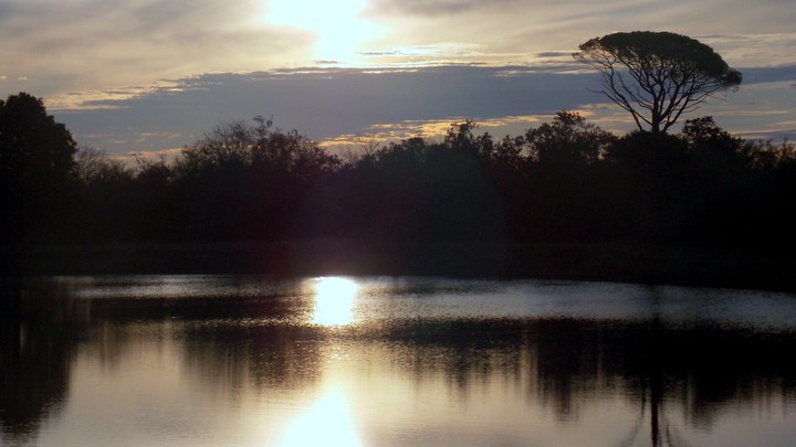 Federación, Entre Ríos Federación, Entre Ríos