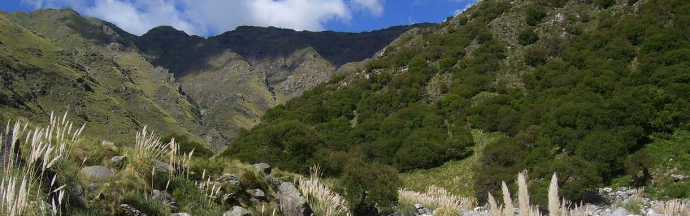 Merlo, San Luis Merlo, San Luis