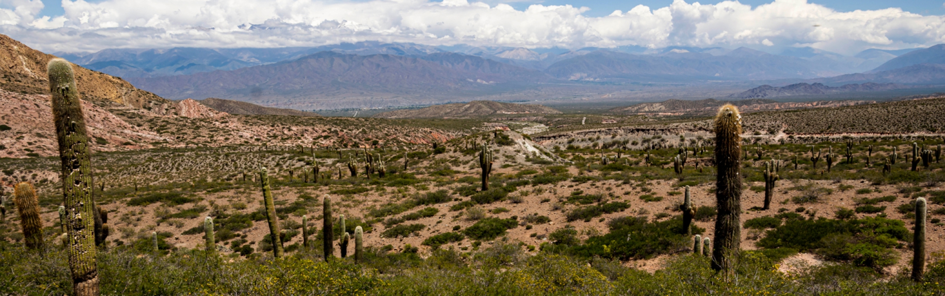 Parque Nacional los Cardones, Salta