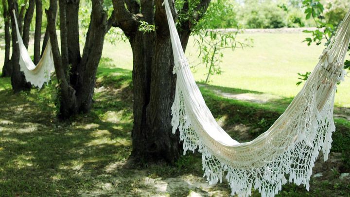 Eco-Hotel en el Delta del Tigre Eco-Hotel en el Delta del Tigre