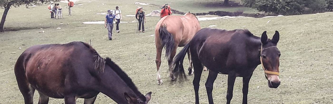 Ascenso & Descanso en el C� Champaqui!!