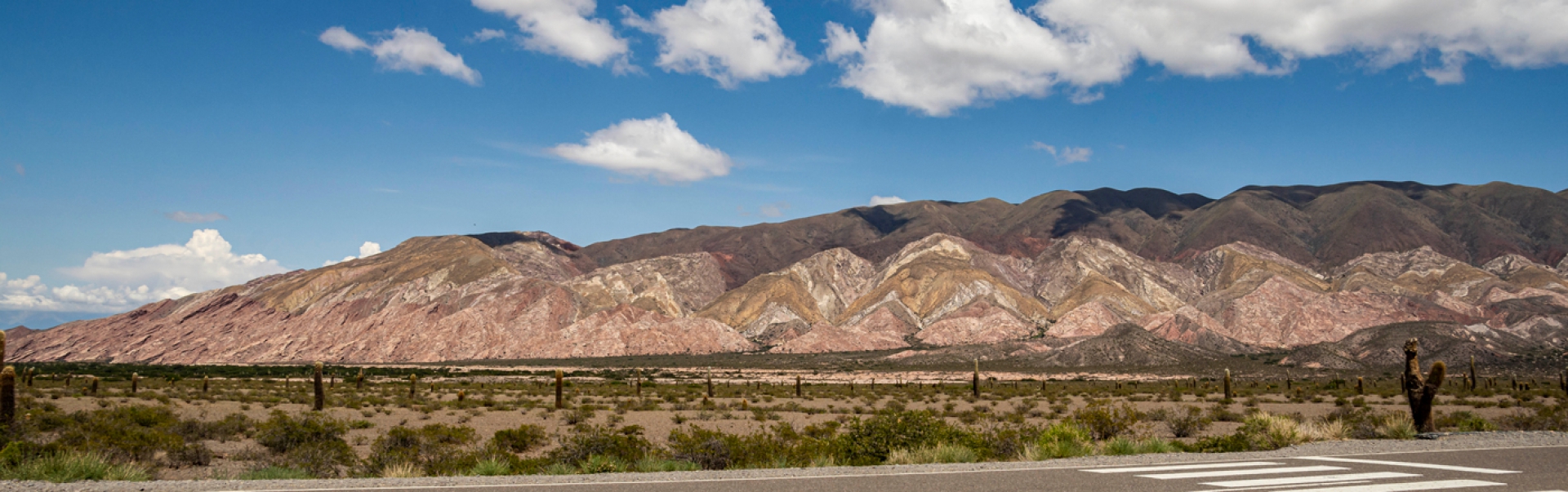 Parque Nacional los Cardones, Salta