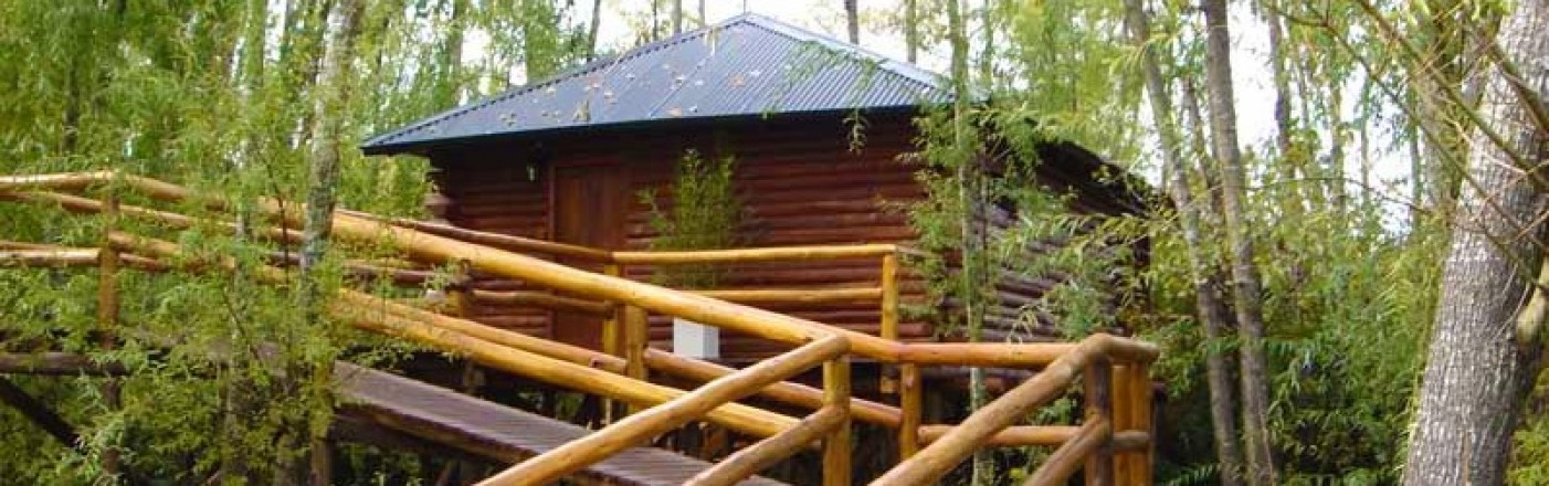 Eco-Hotel en el Delta del Tigre Eco-Hotel en el Delta del Tigre