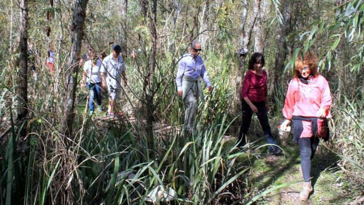 Eco-Hotel en el Delta del Tigre Eco-Hotel en el Delta del Tigre