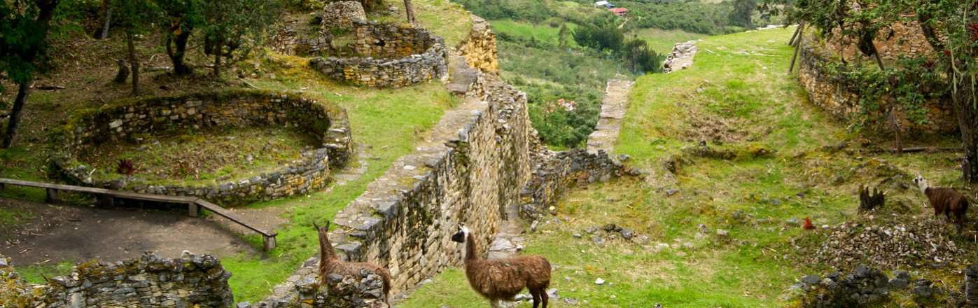 Salida Grupal a Per�